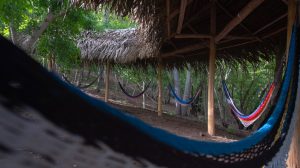 Hammock Hut 04 300x168