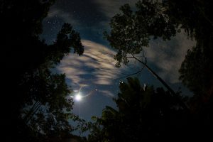 Amazon Rainforest Stars Moon Rainbow Paititi Institute Iquitos Peru Greg Goodman AdventuresofaGoodMan 300x200