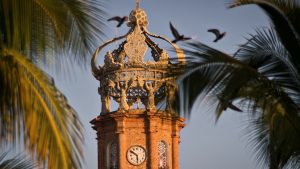 Magic Mushroom Psilocybin Retreat Vallarta Mexico 4 300x169